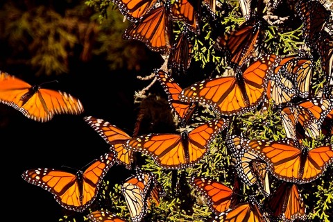 Santuario Piedra Herrada - Sitios de interés - Valle de Bravo