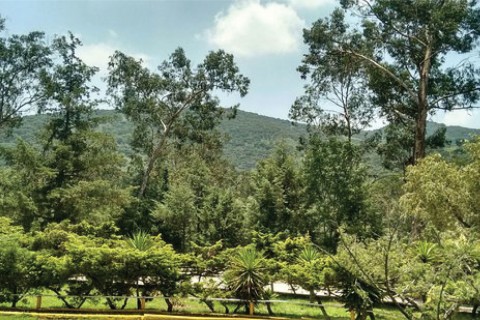 El Parque de los Ciervos - Sitios de interés - Atizapán