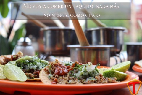 Latosos - Restaurantes - Fuentes de Satélite