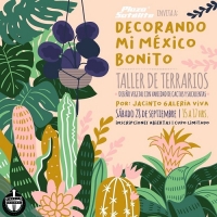 Taller de Terrarios