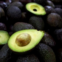 3ra Feria del Aguacate