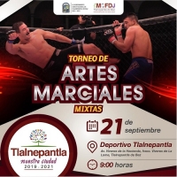 Torneo de Artes Marciales Mixtas