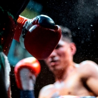 Box: Honor y Gloria