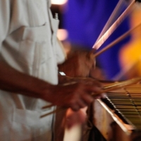 Musica Tradicional Veracruzana