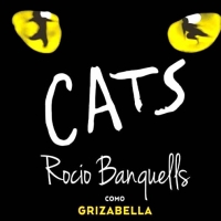 Cats Julio 6 y 7 (Rocio Banquells como GRIZABELLA)
