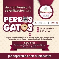 Esterilización de perros y gatos en Tlalnepantla 