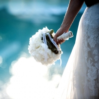 Expo Novia