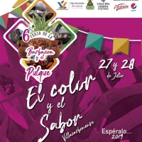 Feria de la Barbacoa y el Pulque (Villa del Carbon)