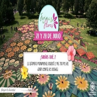 Feria de las Flores 2019 en Xochila 