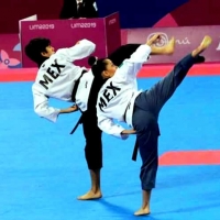 Curso Tecnicas de Combate Taekwondo