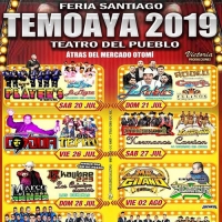 Feria Santiago Temoaya