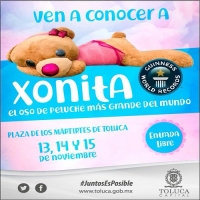 Xonita, el oso más grande del mundo 